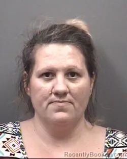 Mugshot of AMY RAE HOPKINS