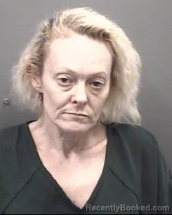 Mugshot of AMBER NICOLE PURSER