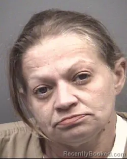 Mugshot of AMBER NICOLE RICHARDSON