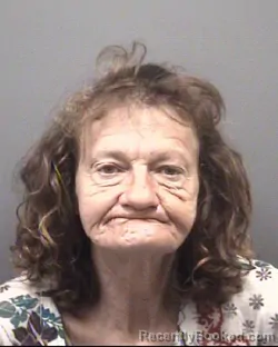 Mugshot of AMY ANNETTE TADLOCK booked in Rowan County, North Carolina on June 17, 2026