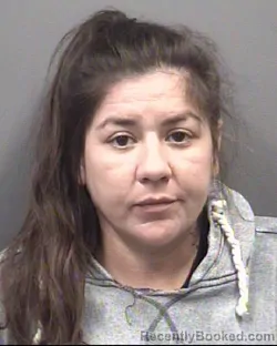 Mugshot of Brandy Michelle Ellis booked in Rowan County, North Carolina on October 20, 2026