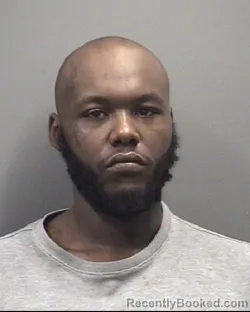 Mugshot of BRIAN ANTWAN NELSON