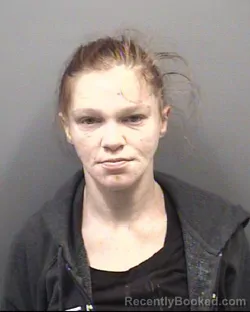 Mugshot of CASSIDY ANN WALL booked in Rowan County, North Carolina on June 19, 2026