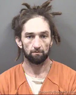 Mugshot of DAVID LEDFORD CARPENTER