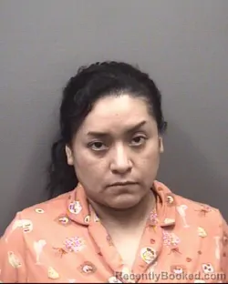 Mugshot of DULCE OLIVIA PATRICIO DE JESUS booked in Rowan County, North Carolina on May 27, 2026