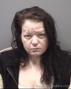 Mugshot of DEANNA NICOLE ROGERS booked in Rowan County, North Carolina on April 28, 2026