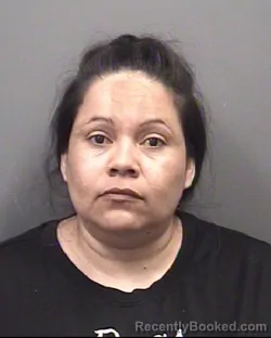 Mugshot of ELIZABETH MARTINEZ-ALONSO