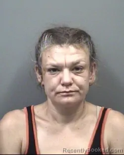 Mugshot of GEORGIA LEE BELLAMY booked in Rowan County, North Carolina on April 29, 2026