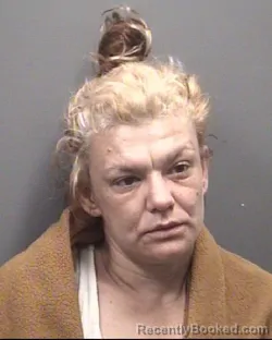 Mugshot of GEORGIA LEE BELLAMY booked in Rowan County, North Carolina on June 17, 2026