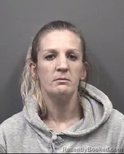 Mugshot of Heather Nicole Tanner booked in Rowan County, North Carolina on August 15, 2026