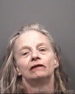 Mugshot of JULIE ELIZABETH CLAWSON