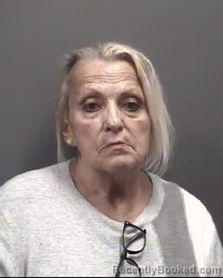 Mugshot of JENNY LYNN CHAMBERLAIN