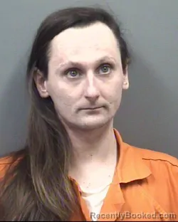 Mugshot of JAMES AARON HANDY