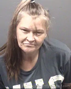 Mugshot of Jessie Payne Purvis booked in Rowan County, North Carolina on October 5, 2026