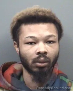 Mugshot of JAYDNN BAKARI WILLIAMS