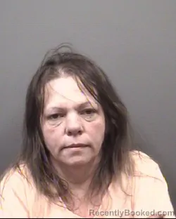 Mugshot of LISA KAY HONEYCUTT booked in Rowan County, North Carolina on March 28, 2026