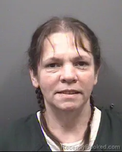 Mugshot of Lisa Kay Honeycutt booked in Rowan County, North Carolina on July 28, 2026