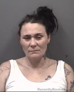 Mugshot of LISA MARIE SHEETS