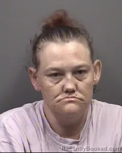 Mugshot of MONICA GOODMAN GRUBB booked in Rowan County, North Carolina on June 23, 2026