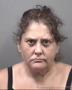 Mugshot of Melisa Blakeslee Hemmings booked in Rowan County, North Carolina on August 13, 2026