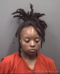 Mugshot of MICHELLE DENISE HARRIS booked in Rowan County, North Carolina on April 5, 2026