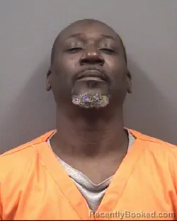 Mugshot of MICHAEL STEVENSON HAMILTON