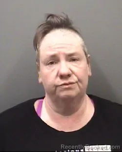 Mugshot of MEGAN ELIZABETH SHELTON booked in Rowan County, North Carolina on March 25, 2026