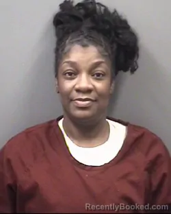 Mugshot of QUATOYA RENEE MORRISON booked in Rowan County, North Carolina on May 19, 2026