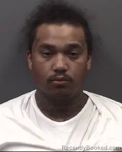 Mugshot of Steven Luan Dinh booked in Rowan County, North Carolina on August 20, 2026