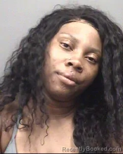 Mugshot of SHANEESE JAINAE FIELDS booked in Rowan County, North Carolina on March 27, 2026