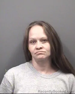 Mugshot of SARAH LYNN HARWOOD booked in Rowan County, North Carolina on July 5, 2026