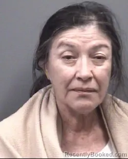 Mugshot of Sara Olivas Naso booked in Rowan County, North Carolina on August 2, 2026