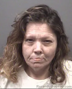 Mugshot of Susan Rebecca Robinson booked in Rowan County, North Carolina on July 29, 2026