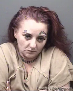 Mugshot of Toniann Dicenzo booked in Rowan County, North Carolina on September 15, 2026