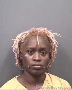 Mugshot of TAMEKA MICHELLE DILLINGHAM booked in Rowan County, North Carolina on June 5, 2026