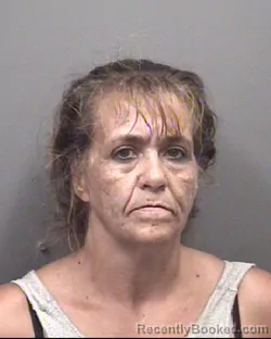 Mugshot of TABITHA LYNN JENSEN booked in Rowan County, North Carolina on June 17, 2026
