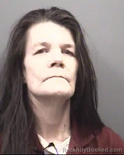 Mugshot of Yelonda Gunnoe booked in Rowan County, North Carolina on September 29, 2026