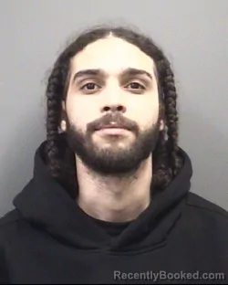 Mugshot of YEREMI NUNEZ