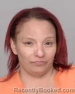 Mugshot of Cynthia Lou Skinaway
