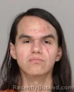 Mugshot of Wesley Taylor Nichols booked in Crow Wing County, Minnesota on April 1, 2026