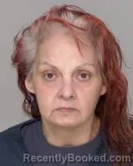 Mugshot of Vanessa Marie Deegan booked in Crow Wing County, Minnesota on April 7, 2026