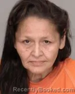 Mugshot of Brooke Lee Defoe booked in Crow Wing County, Minnesota on June 17, 2026
