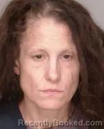Mugshot of Melissa Marie Will booked in Crow Wing County, Minnesota on July 27, 2026