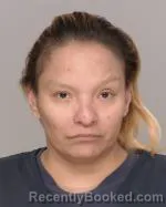 Mugshot of Cynthia Lou Skinaway