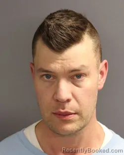 Mugshot of DAVID ALEXANDER LINNELL