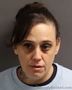 Mugshot of NICOLE MARIE THOMASON