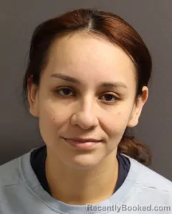 Mugshot of ADRIANA ELIZABETH MENDEZ PIZENA