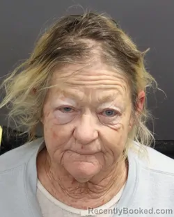 Mugshot of CAROL ANN DAHN