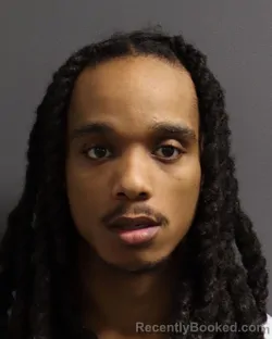 Mugshot of JR JOHNSON