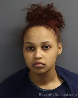 Mugshot of NADIA DAUD ABDULKADIR